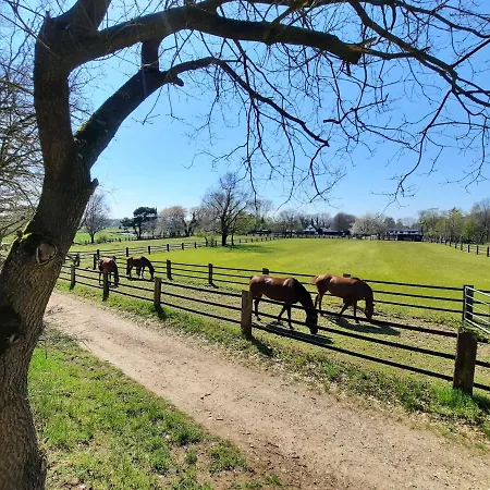 Am Kessel בית נופש גוך