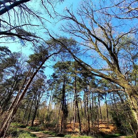 Vakantiehuis Am Kessel Goch