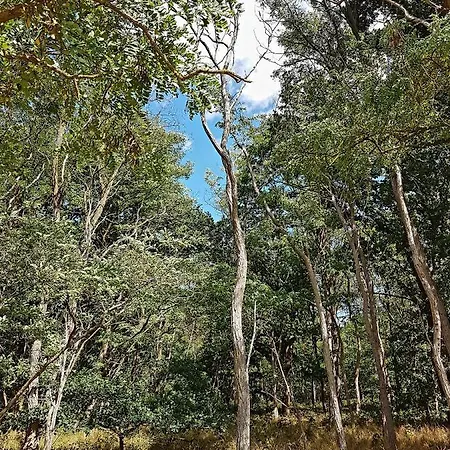 Am Kessel בית נופש גוך