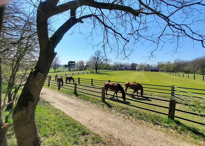 Am Kessel בית נופש גוך