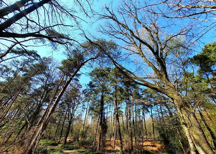 בית נופש Am Kessel גוך