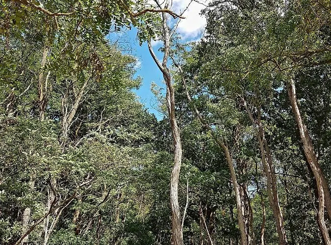 Am Kessel בית נופש גוך